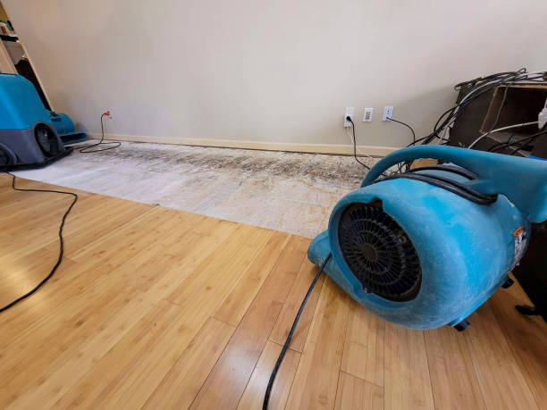 Professional Water Damage Repair technician working in Nada, TX